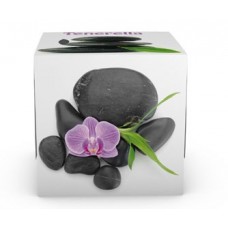 Χαρτομάντηλα αυτοκινήτου κύβος – Τρίφυλλο – 56 φύλλα/κουτί (780/cube) Χαρτομάντηλα αυτοκινήτου κύβος – Τρίφυλλο – 56 φύλλα/κουτί (780/cube)