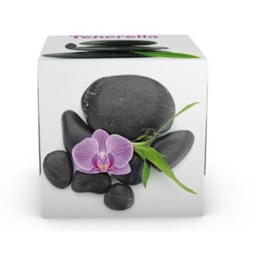 Χαρτομάντηλα αυτοκινήτου κύβος – Τρίφυλλο – 56 φύλλα/κουτί (780/cube) Χαρτομάντηλα αυτοκινήτου κύβος – Τρίφυλλο – 56 φύλλα/κουτί (780/cube)