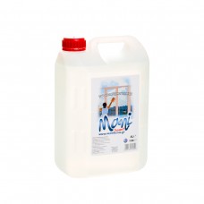 Υγρό καθαρισμού τζαμιών 4L (ΜΑΝΙ) (5030)
